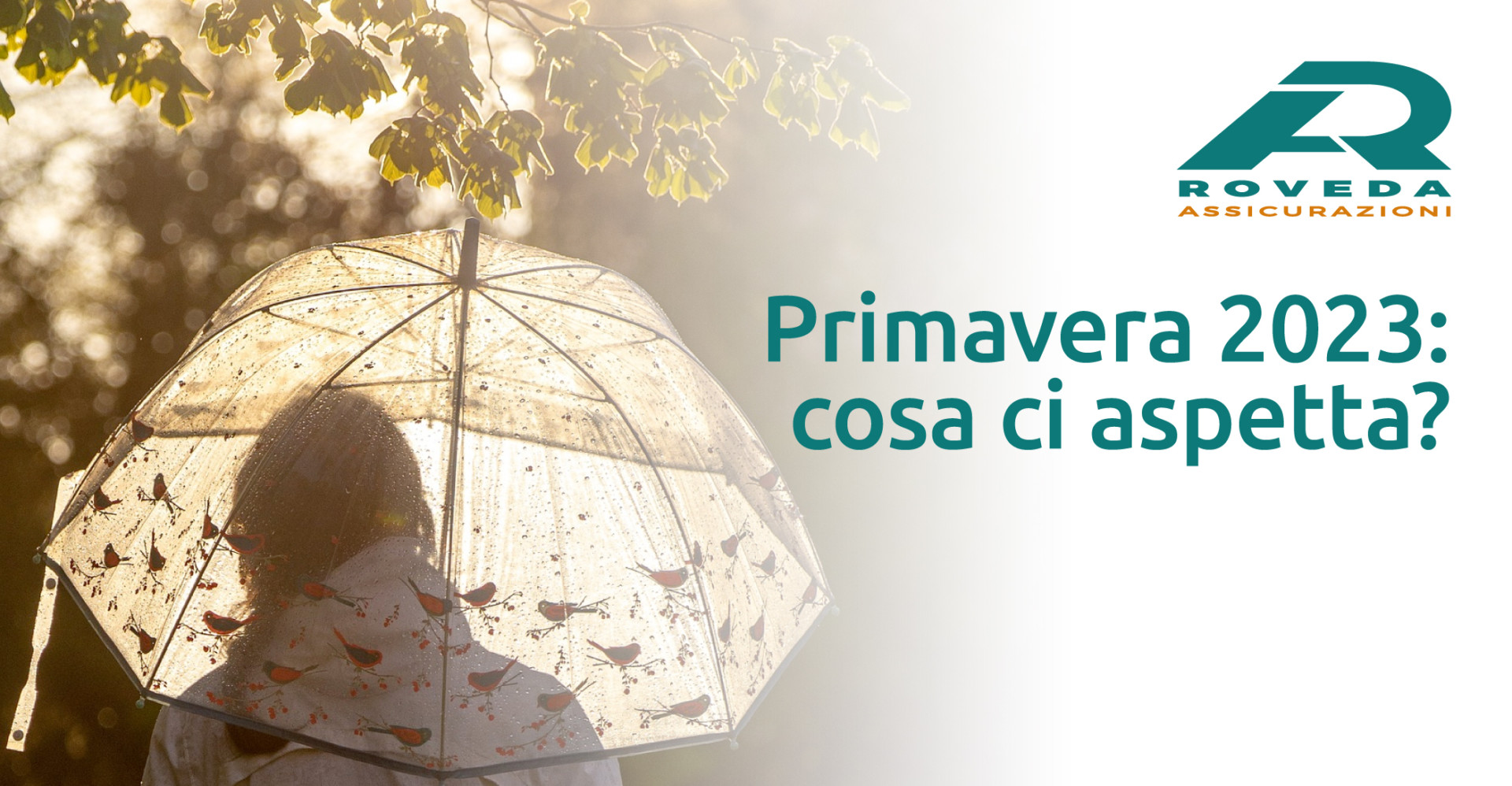 Primavera 2023: cosa ci aspetta? | Roveda Assicurazioni